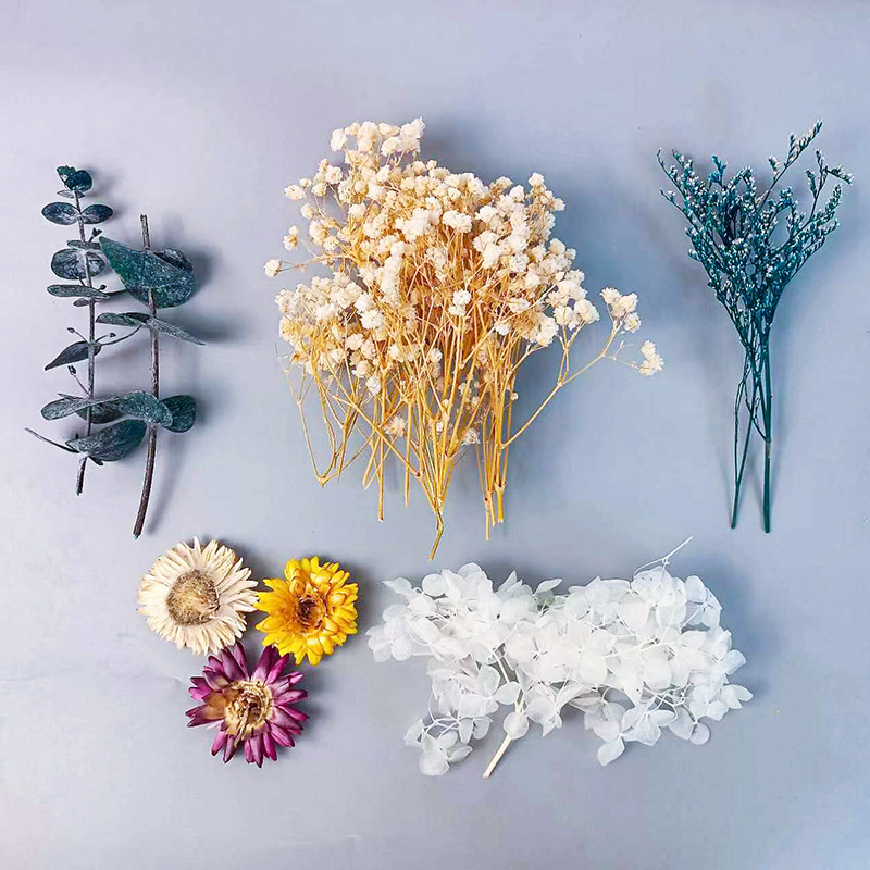 Craft Embellishment - ชุดดอกไม้แห้งหลากหลายชนิด 1 แพ็ค สำหรับงานฝีมือ DIY ตกแต่งบ้าน